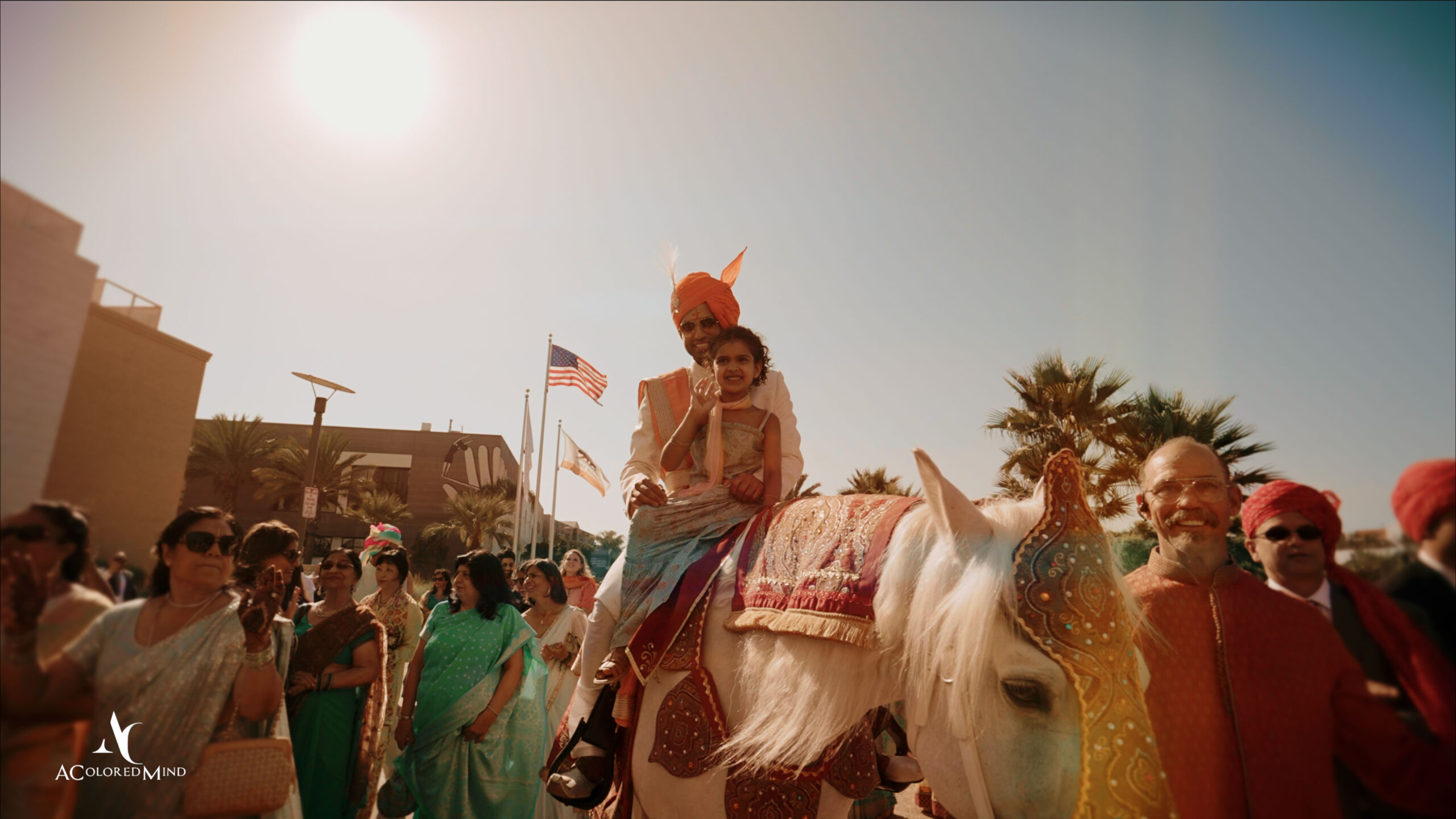 Indian wedding groom on horse.