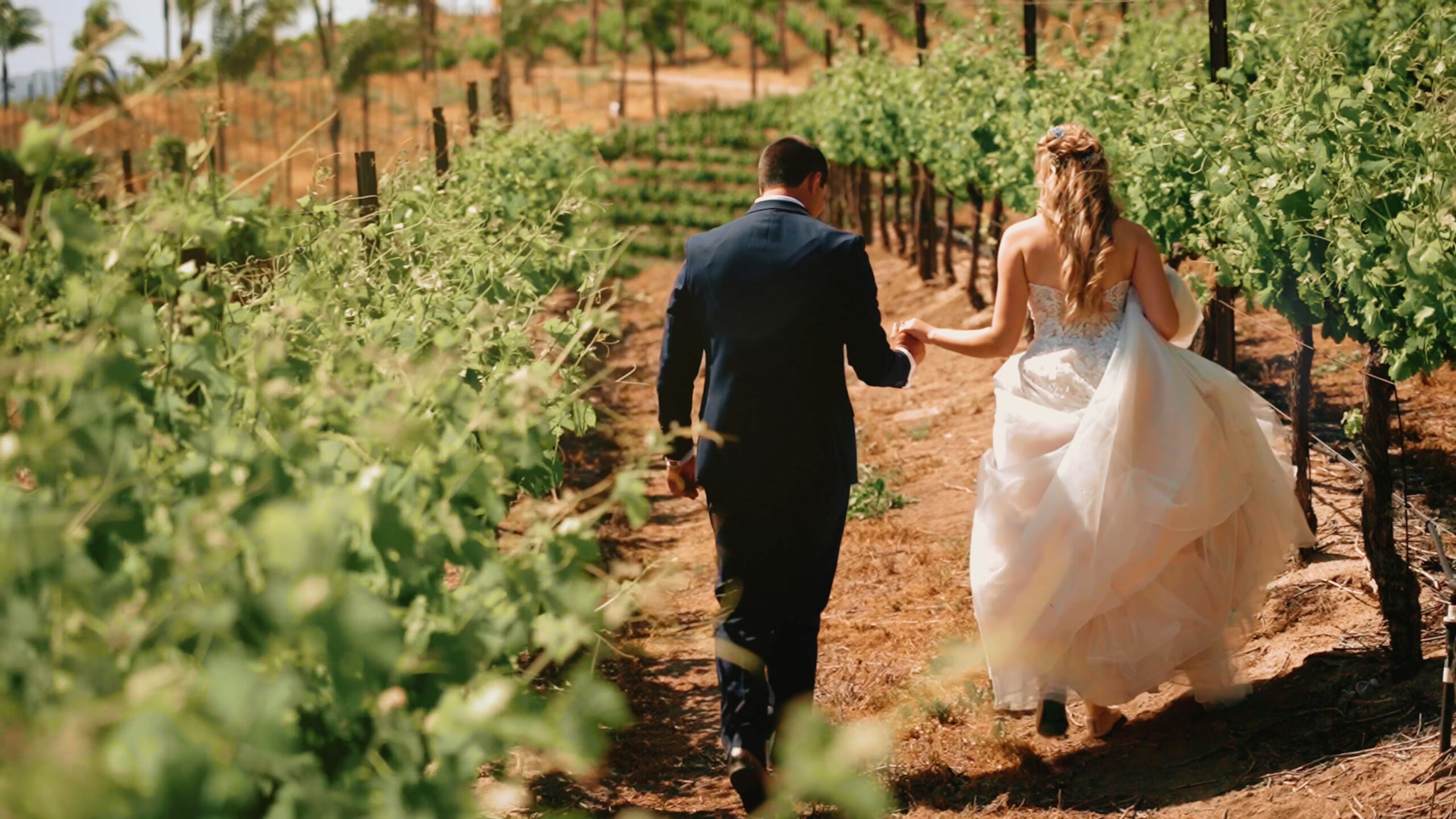 Falkner winery wedding bride and groom in the field