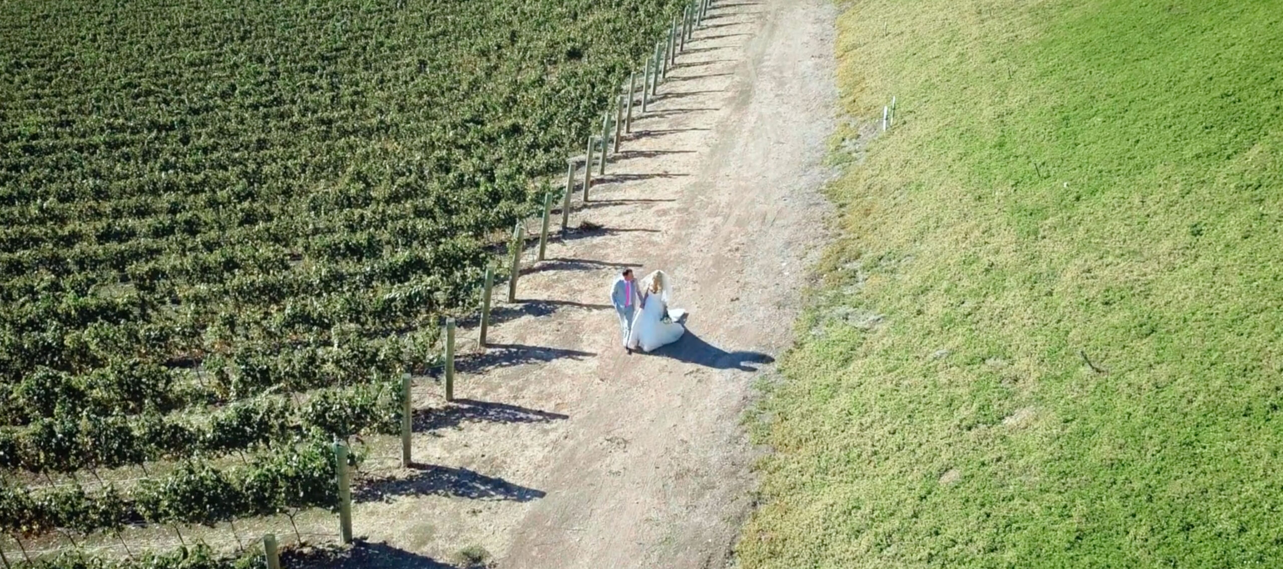 Catalina View Gardens Couples Vineyards Romantic Shot