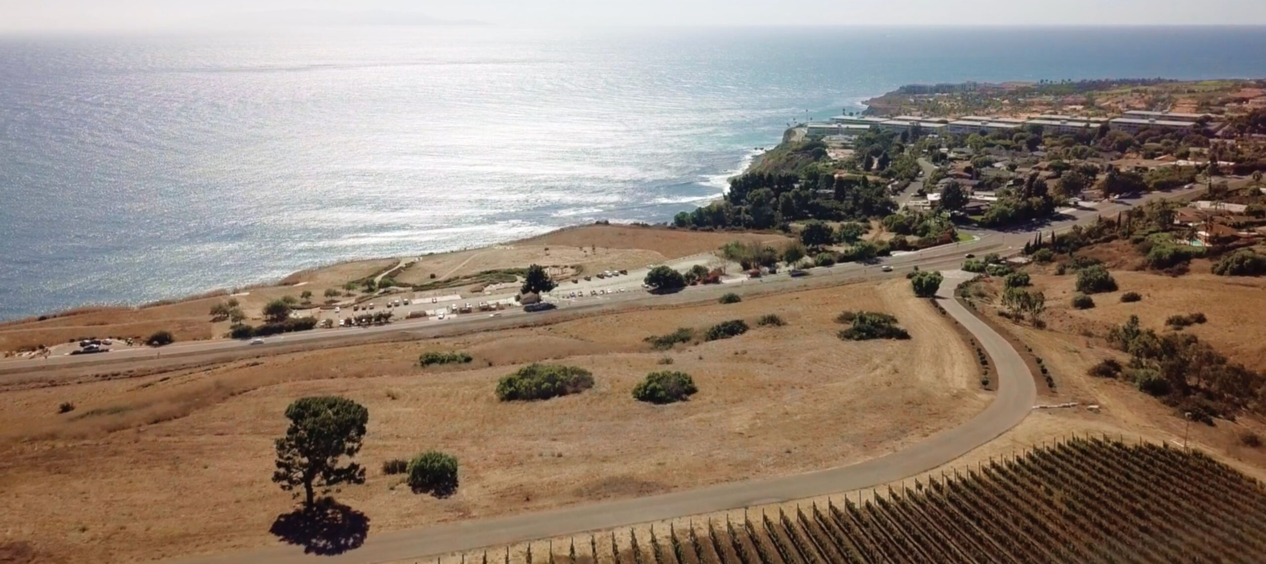 Catalina View Gardens Drone Shot With Ocean View