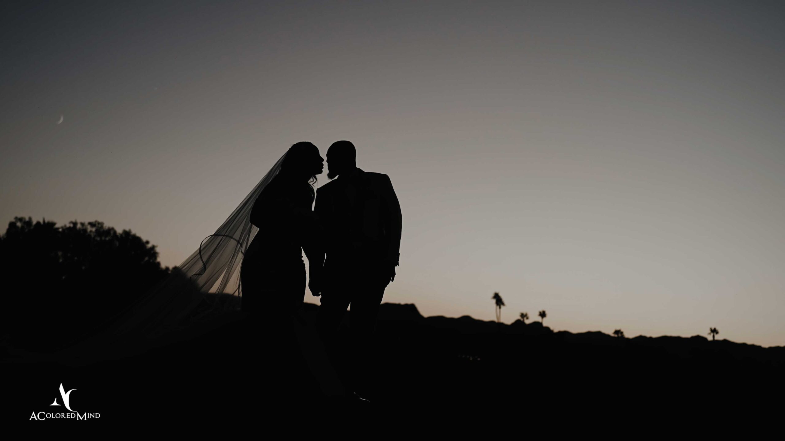 Silhouetted bride and groom kiss at sunset with palm trees in the distance at Canyon Gate Country Club wedding in Las Vegas.